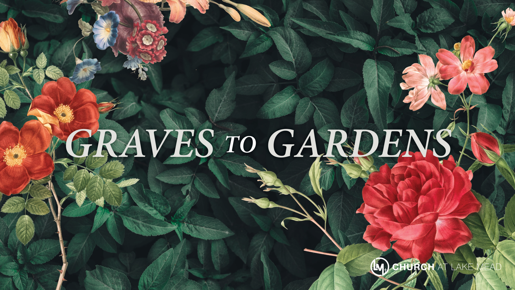 Graves to Gardens | Palm Sunday episode artwork
