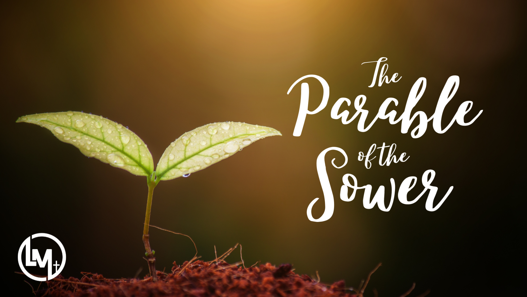 Parable of the Sower episode artwork