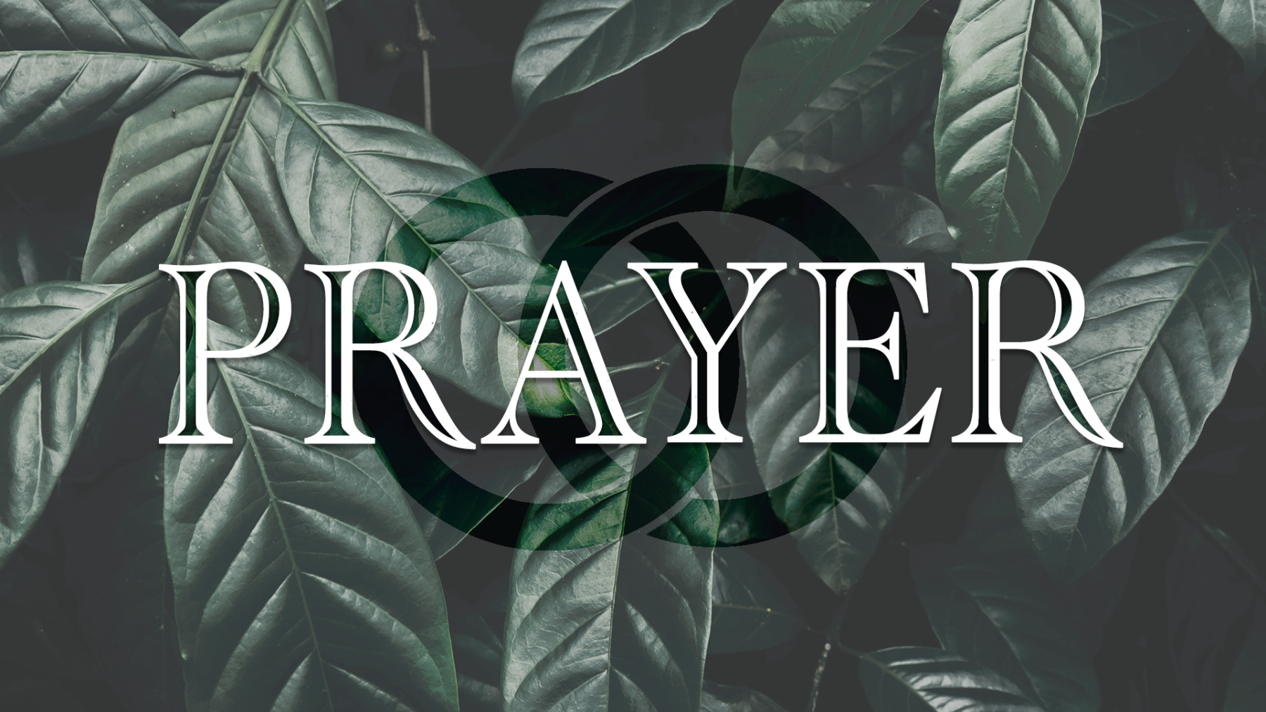 Prayer | Week 1 episode artwork