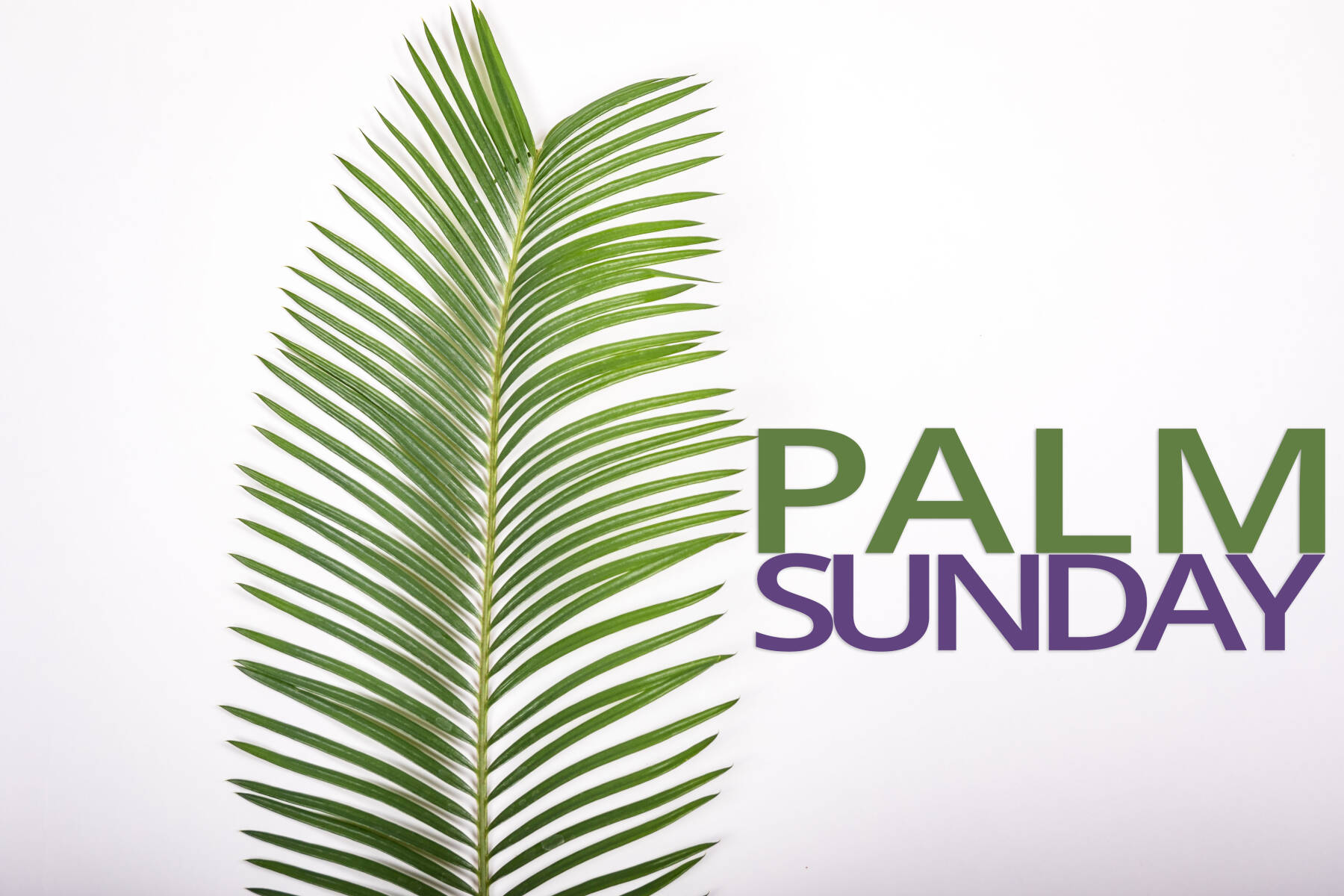 Palm Sunday Traditional Worship Service