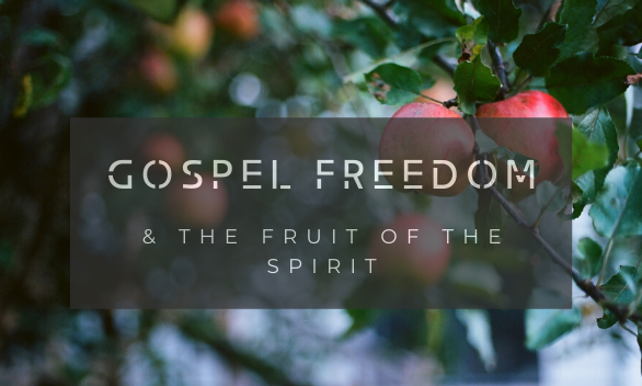 Gospel Freedom VS Moralism episode artwork