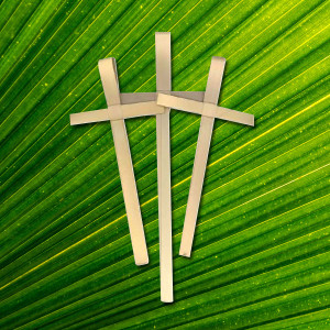 Palm Sunday Worship Service with Communion