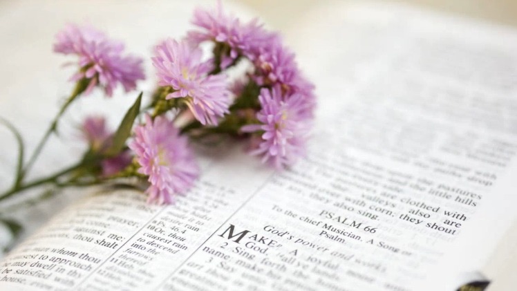 Sisterhood Breakfast Brunch South Banks Community Church