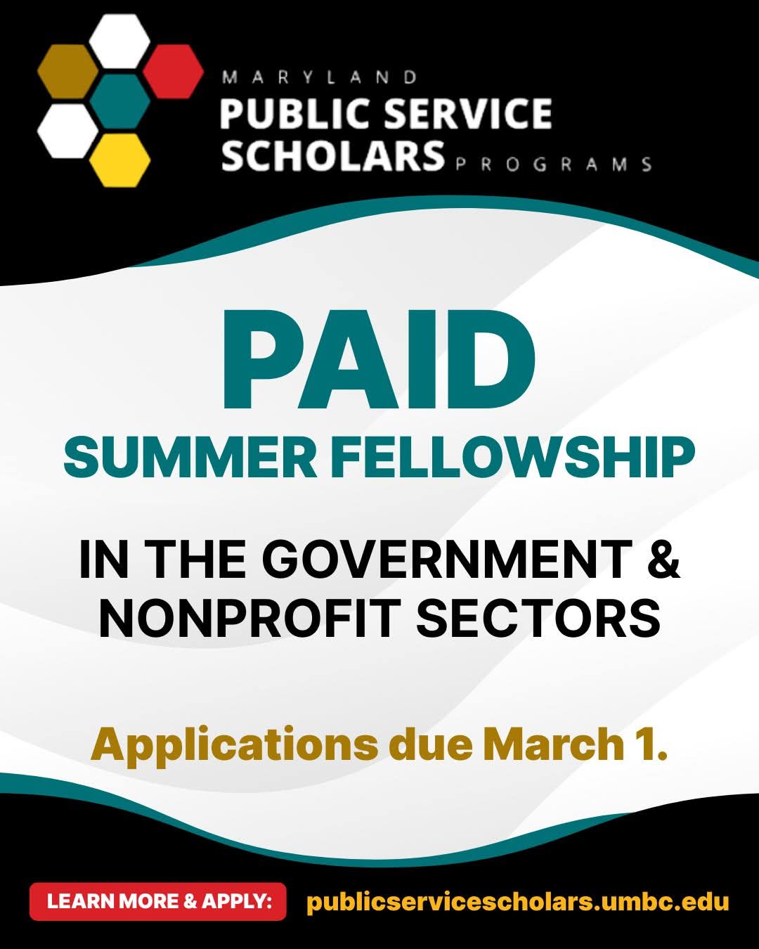 Paid Summer Fellowship