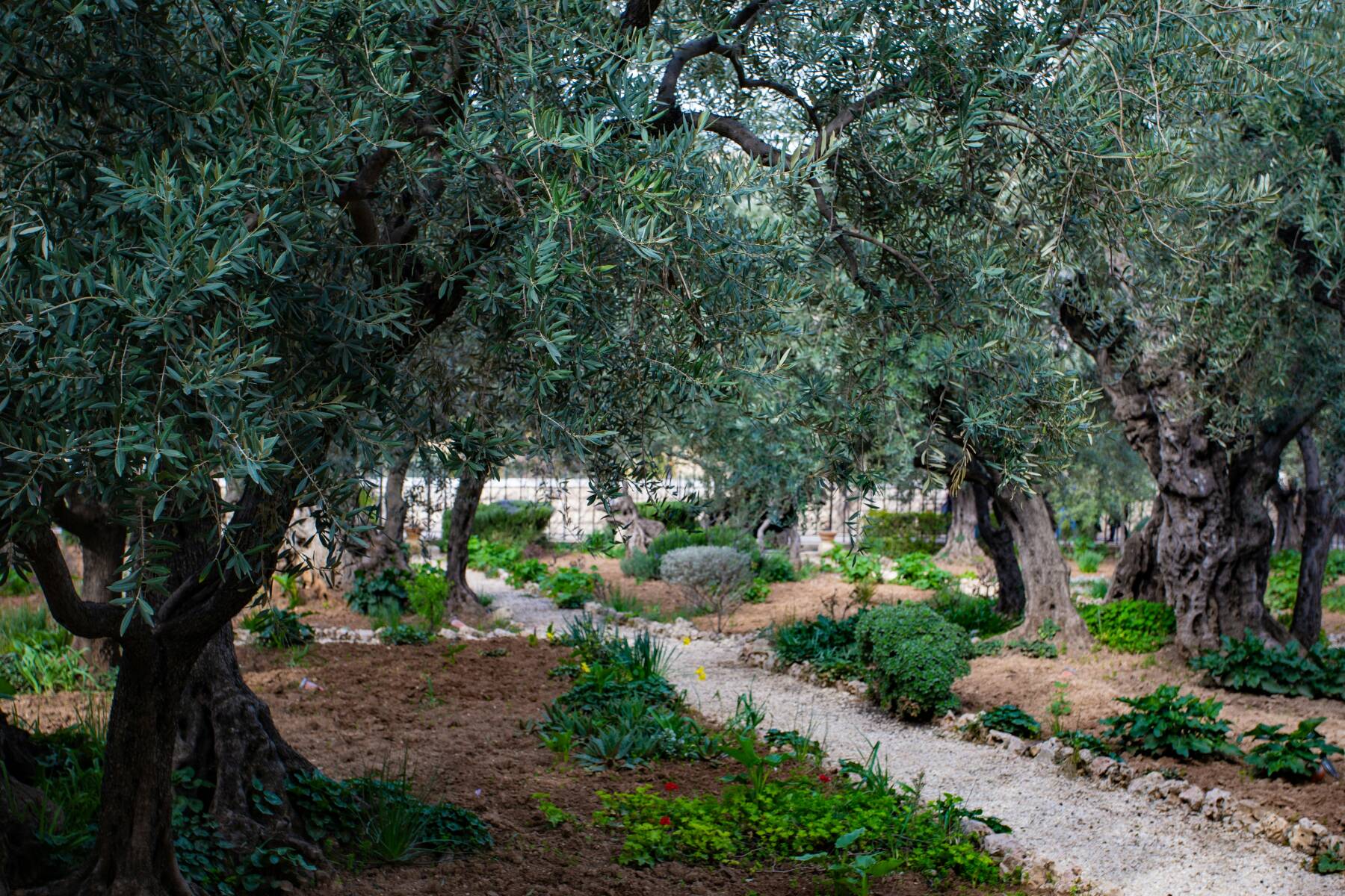 Gethsemane episode artwork