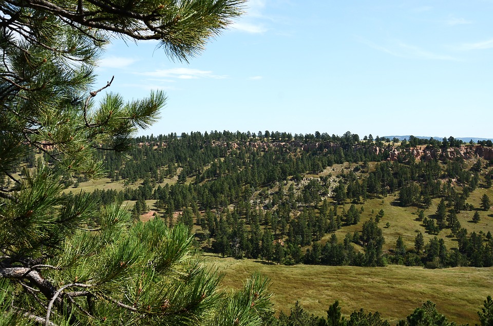 Liberty Baptist Tabernacle Podcast